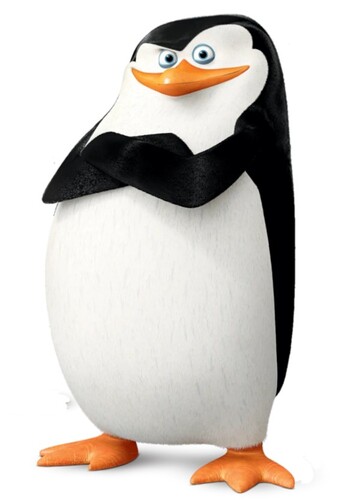Skipper