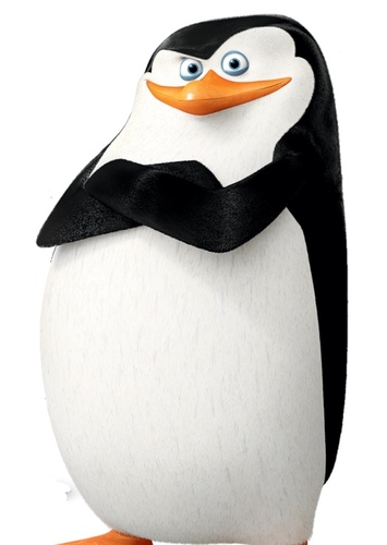 Skipper