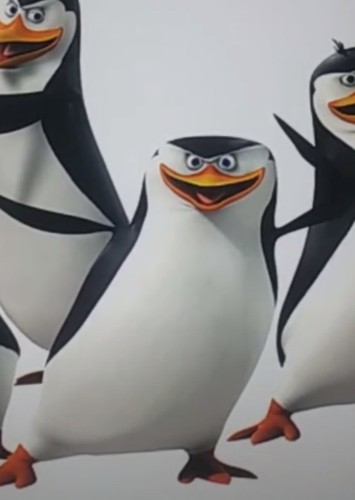 Skipper