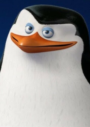 Skipper