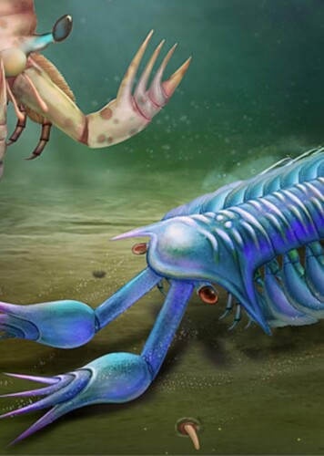 Sklerolibyon