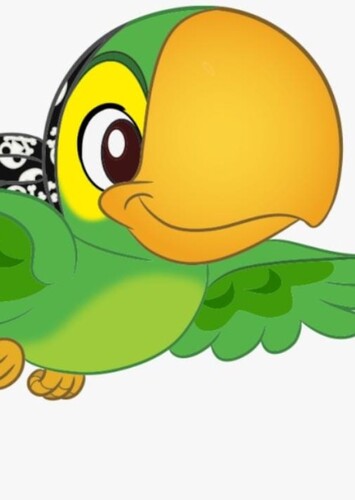 Skully The Pirate Parrot