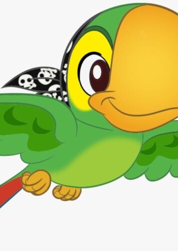 Skully The Pirate Parrot