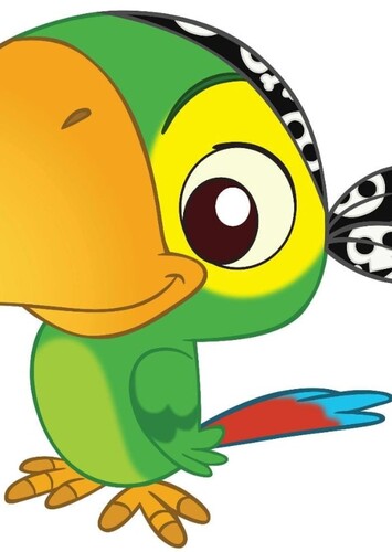 Skully The Pirate Parrot