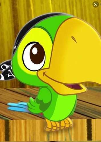 Skully The Pirate Parrot