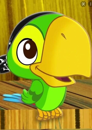 Skully The Pirate Parrot