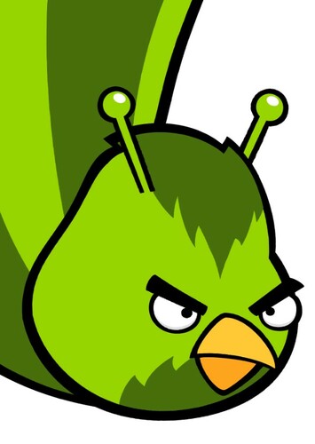Skunk Bird
