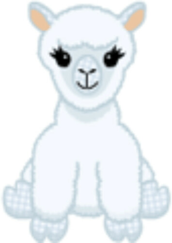 Sky View Alpaca