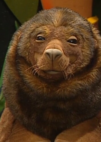 Slick The Sea Lion
