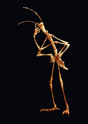 Slim