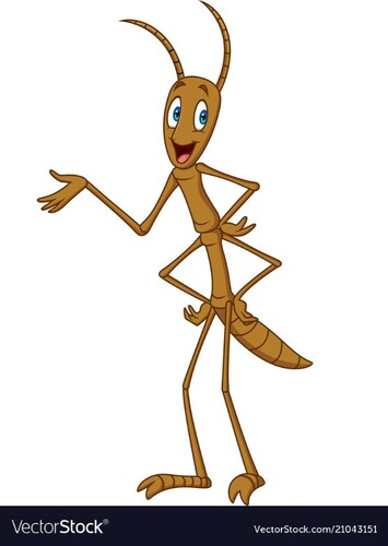 Slim jr
