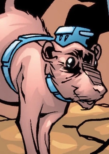 Small Member of Scientist’s Army