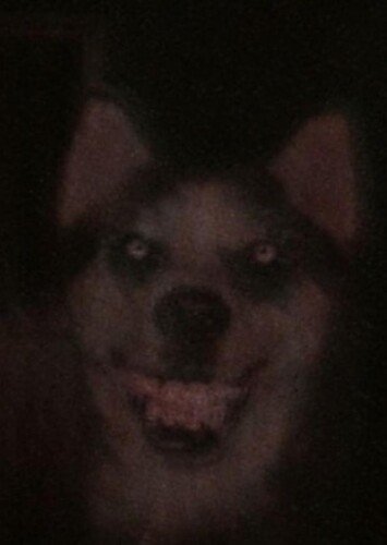 Smile Dog (voice)
