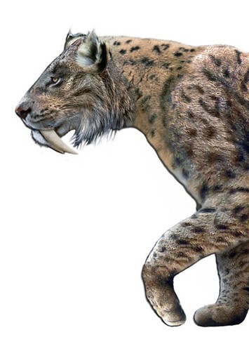 Smilodon