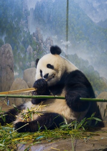 Smithsonian National Zoological Park