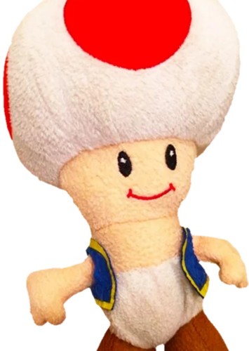 Sml Toad