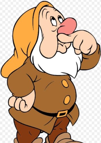 Sneezy The Dwarf
