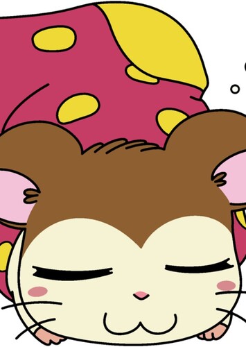 Snoozer