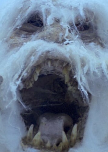 Snow Creature - Wampa