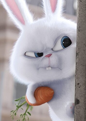 Snowball