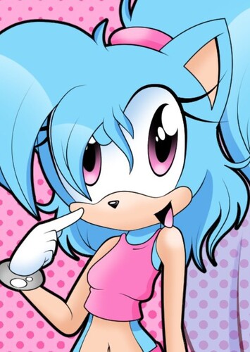 SNT the Hedgefox