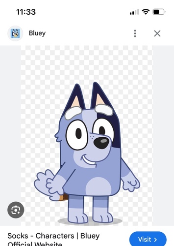 Socks