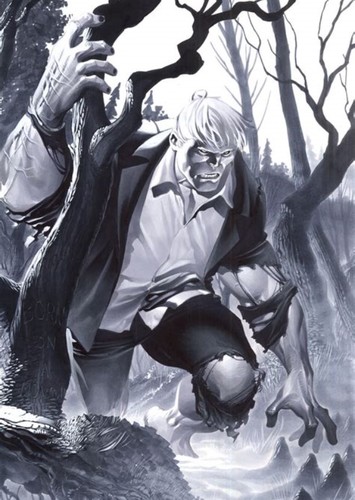 Solomon Grundy