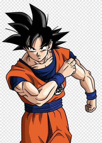 Son Goku / Kakarot