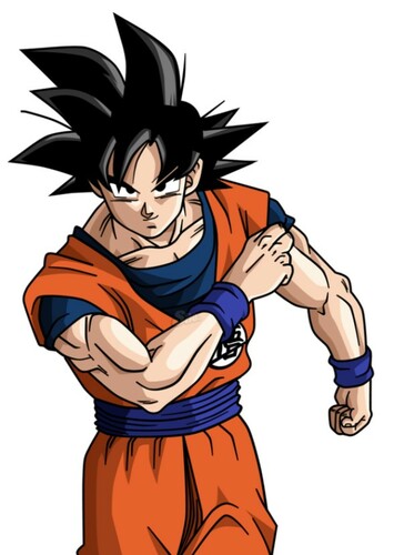 Son Goku / Kakarot