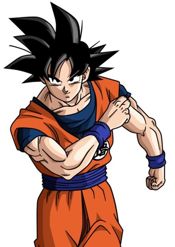 Son Goku / Kakarot