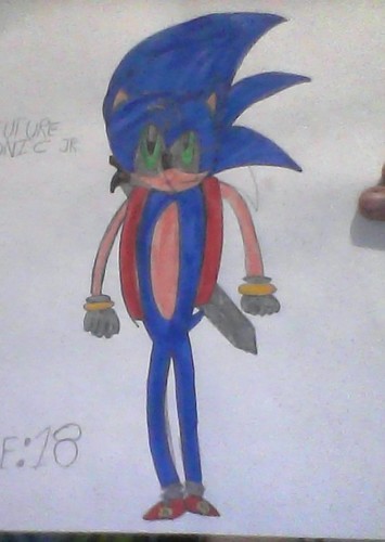 SONIC JR (ADULT)