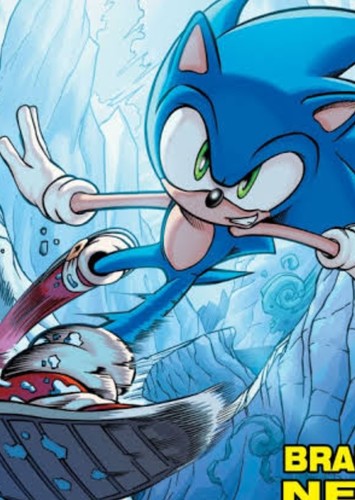Sonic the Blue Blur