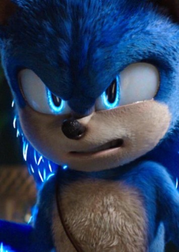 Sonic the hedgehog
