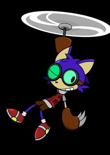 Sonic the hedgehog