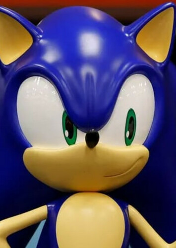 Sonic the hedgehog