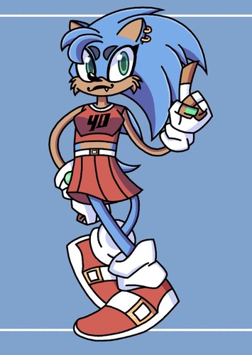 Sonic the hedgehog
