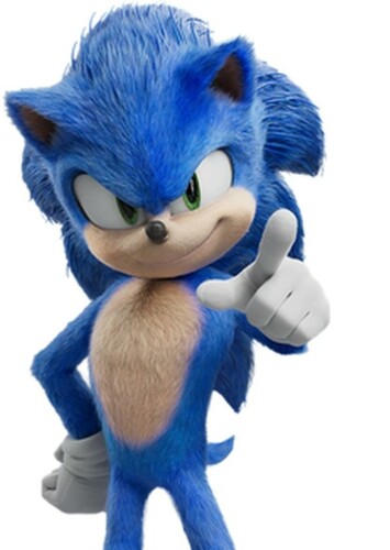Sonic the hedgehog