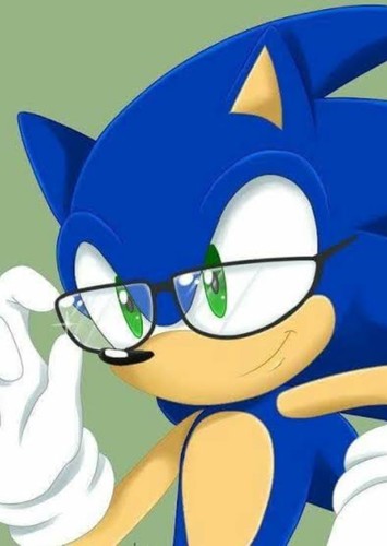 Sonic the Teacher