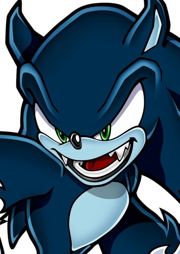 Sonic the Werehog