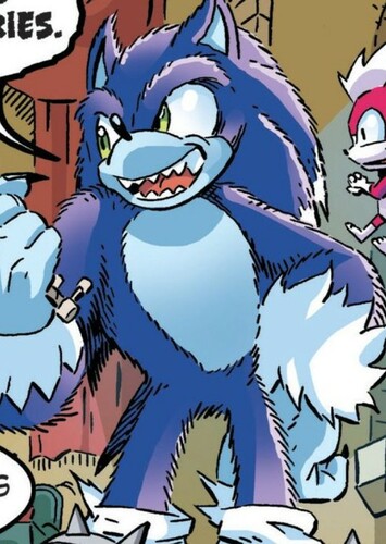 Sonic The Werehog