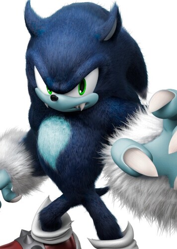 Sonic The Werehog