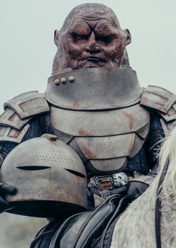 Sontarans