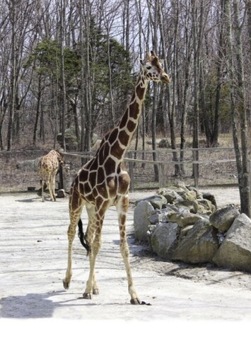 Southwick's Zoo