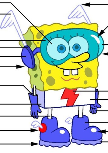 Spangebob the quickster na początku