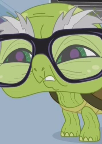 Speedy Shellberg