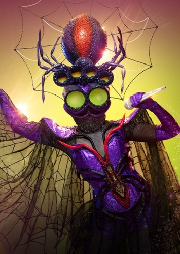 Spider