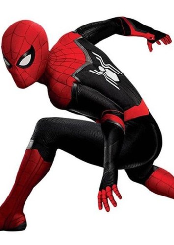 Spider-Man (Earth-199999)