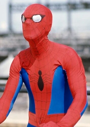 Spider-Man (Earth 730911)