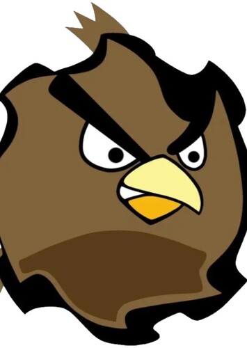 Spinner Bird