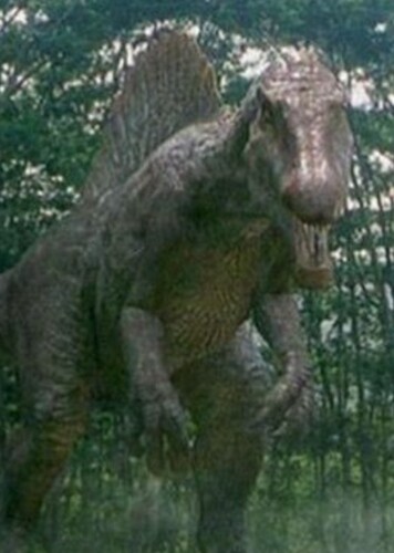 Spino